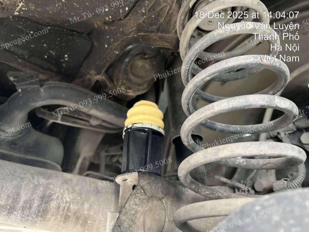 Phuộc xe và tăm bông Peugeot 3008