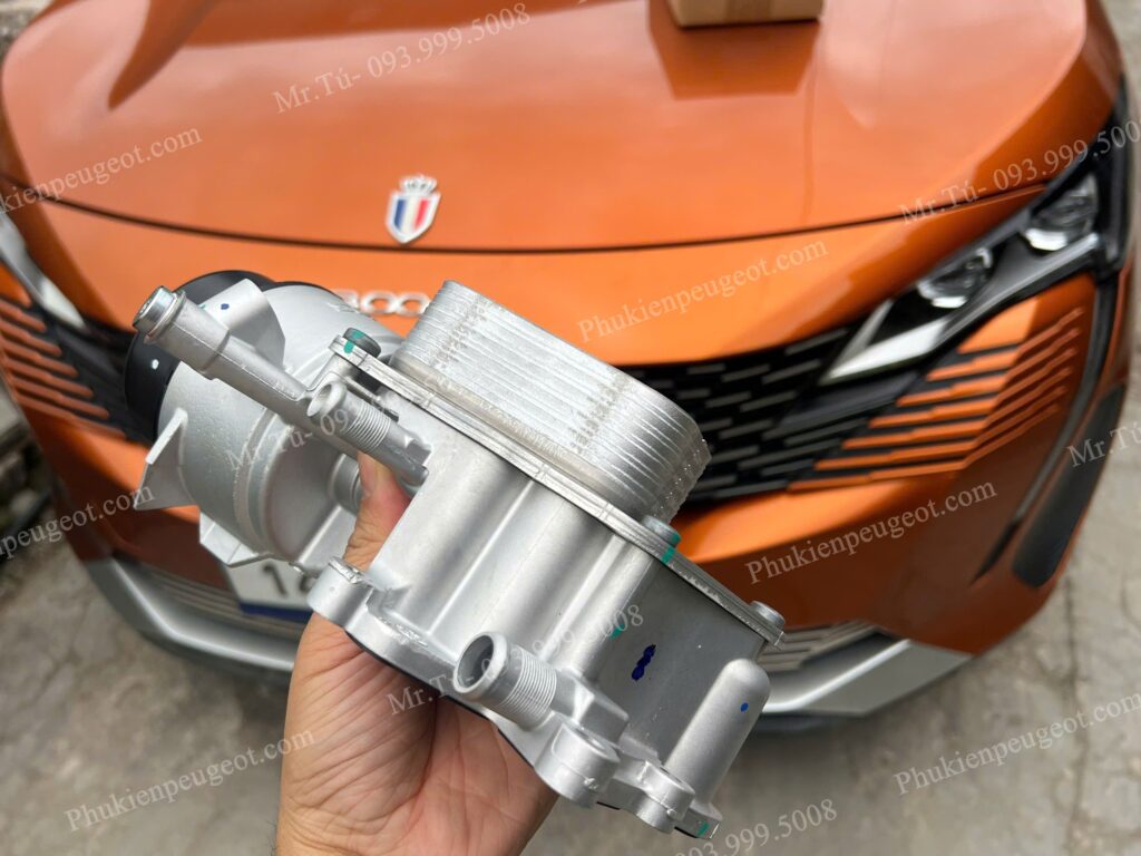 Két sinh hàn xe Peugeot 