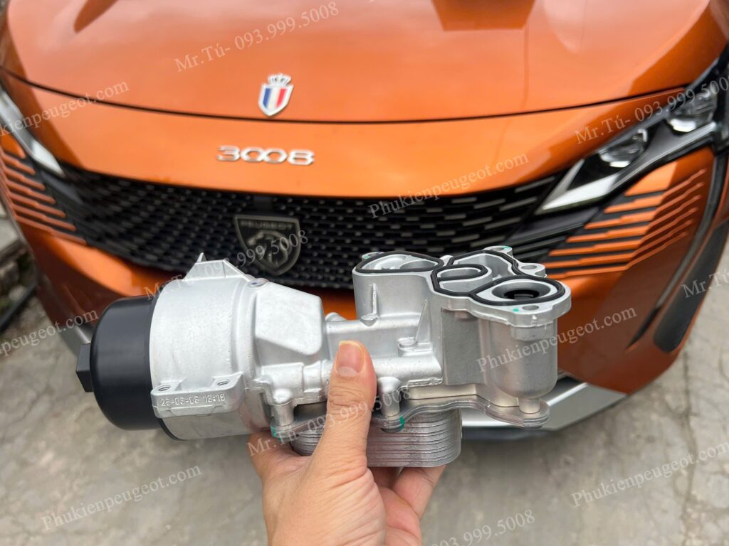 Két sinh hàn xe Peugeot 