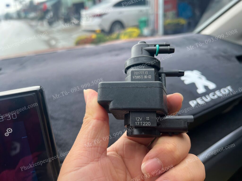 Van điều áp turbo xe Peugeot 