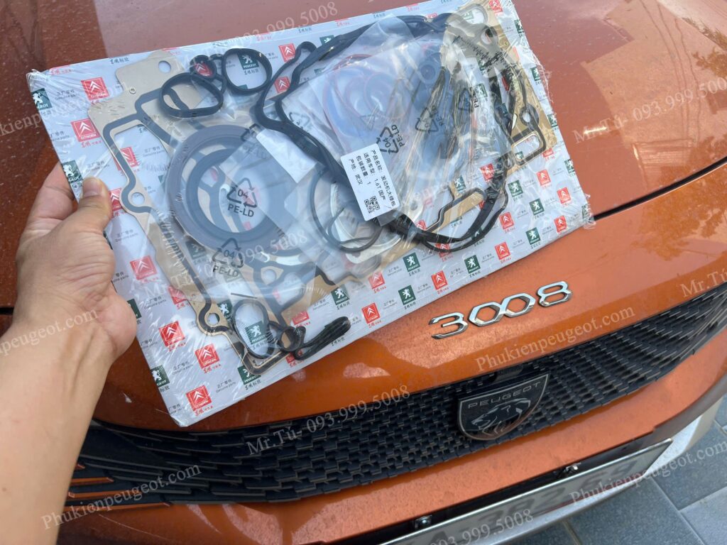 Bộ gioăng đại tu xe Peugeot