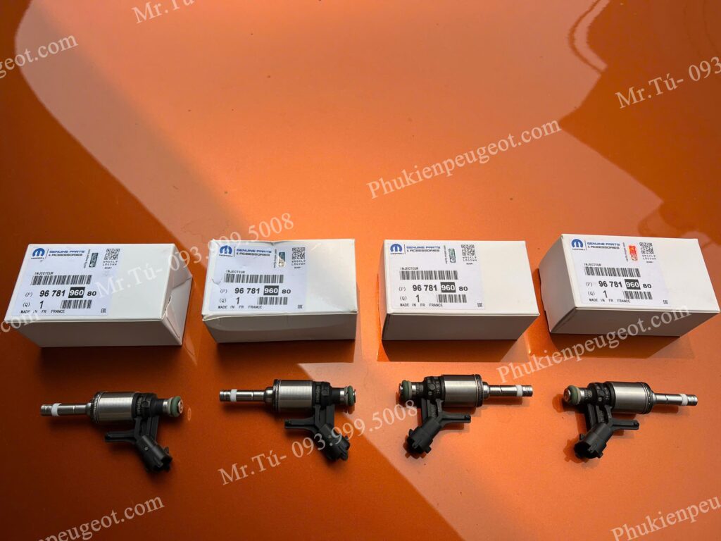 Kim phun buồng đốt Peugeot