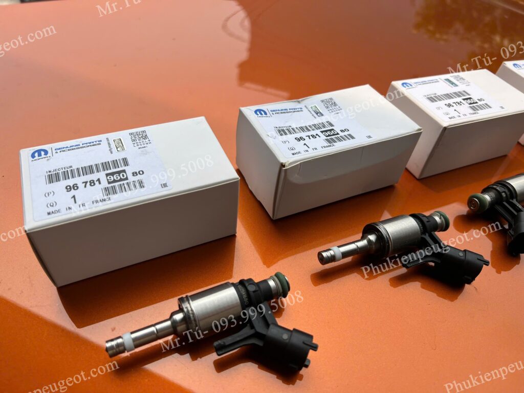 Kim phun buồng đốt Peugeot