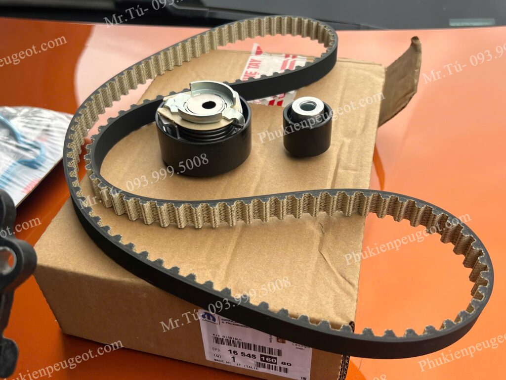 Cụm dây curoa cam Peugeot 2008