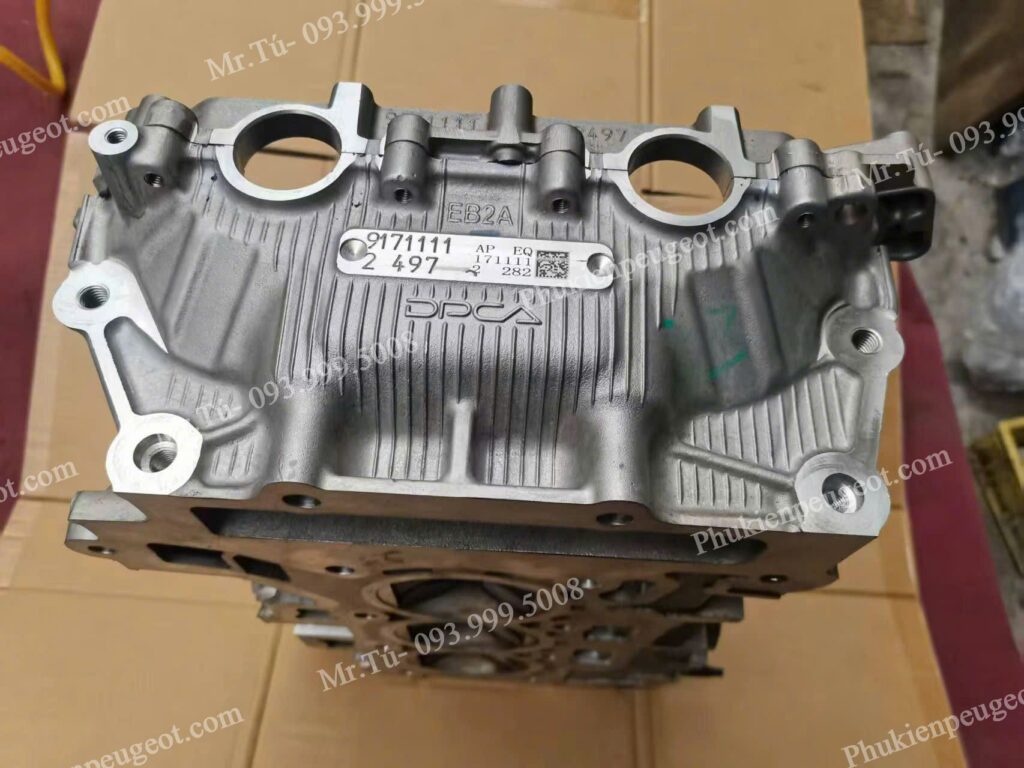 Mặt máy xe Peugeot 2008