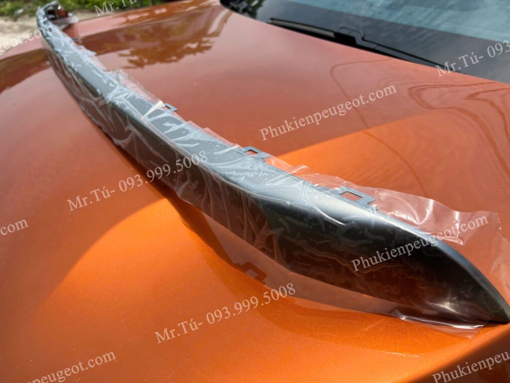 Nẹp viền cốp sau xe Peugeot 3008