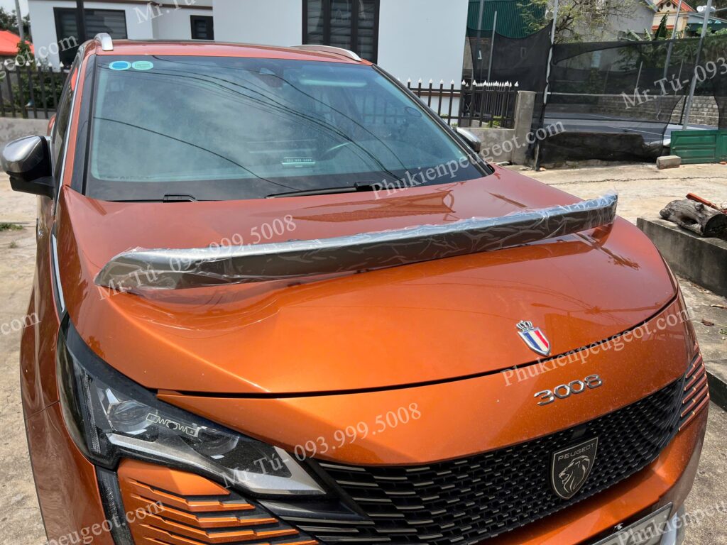 Nẹp viền cốp sau xe Peugeot 3008