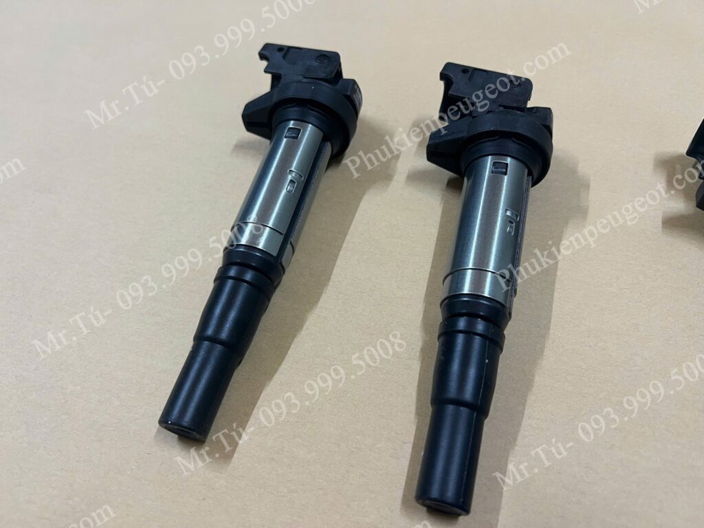 Bô bin đánh lửa Peugeot