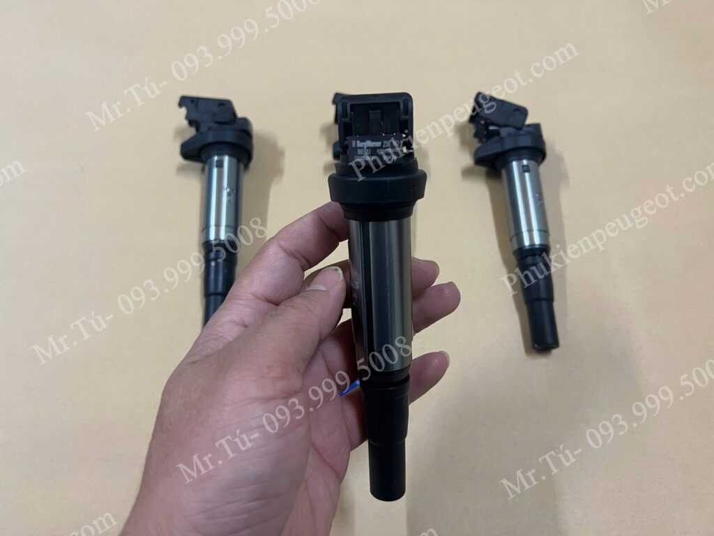 Bô bin đánh lửa Peugeot
