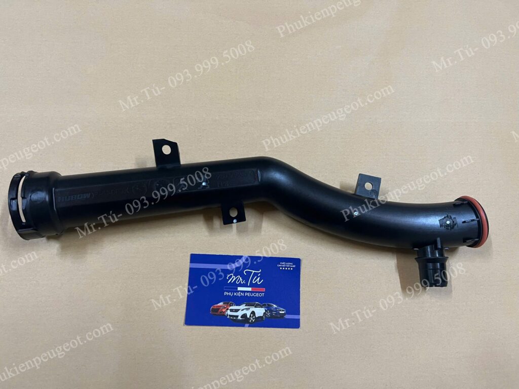 Co nước xe Peugeot