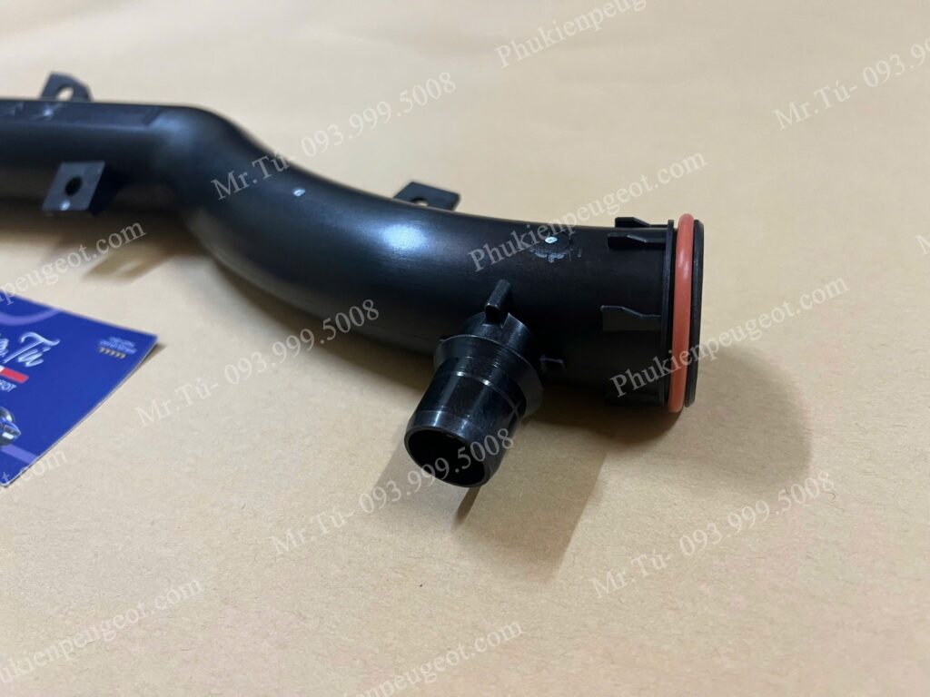 Co nước xe Peugeot