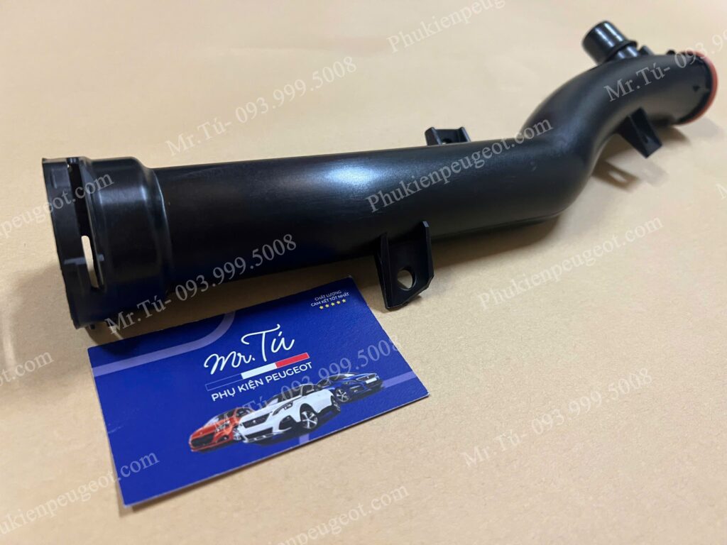 Co nước xe Peugeot