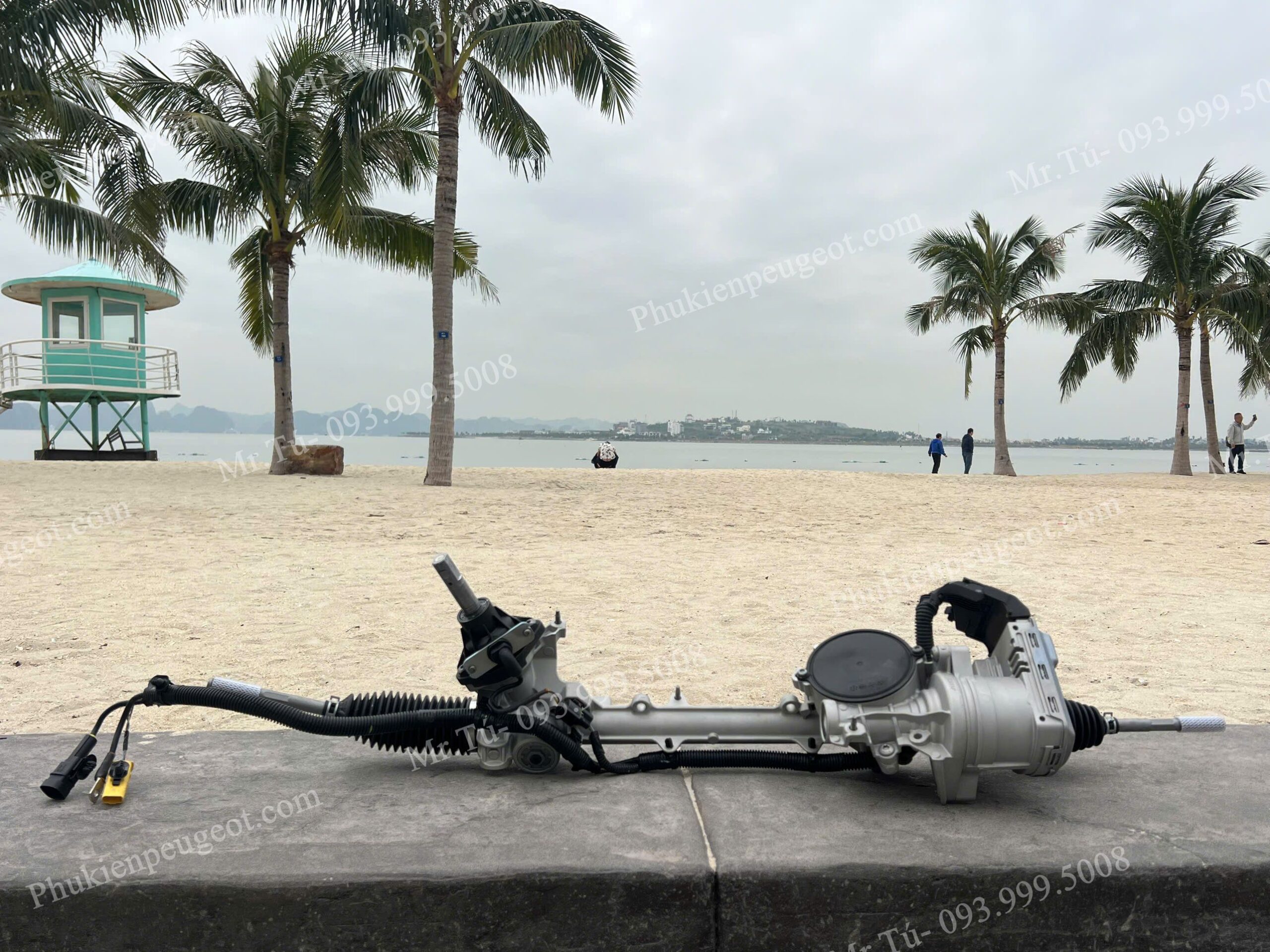 phu-tung-thuoc-lai-xe-peugeot (5)