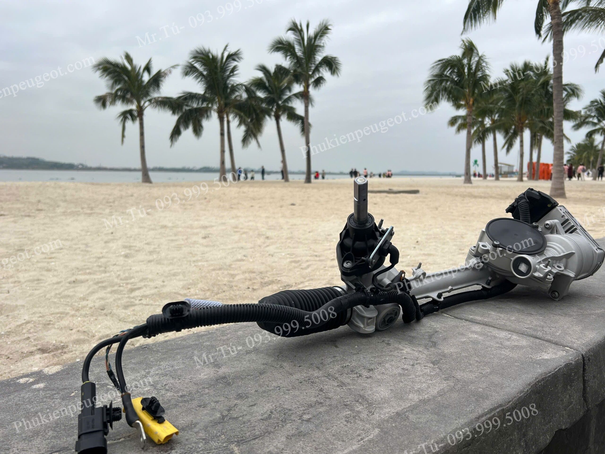 phu-tung-thuoc-lai-xe-peugeot (7)