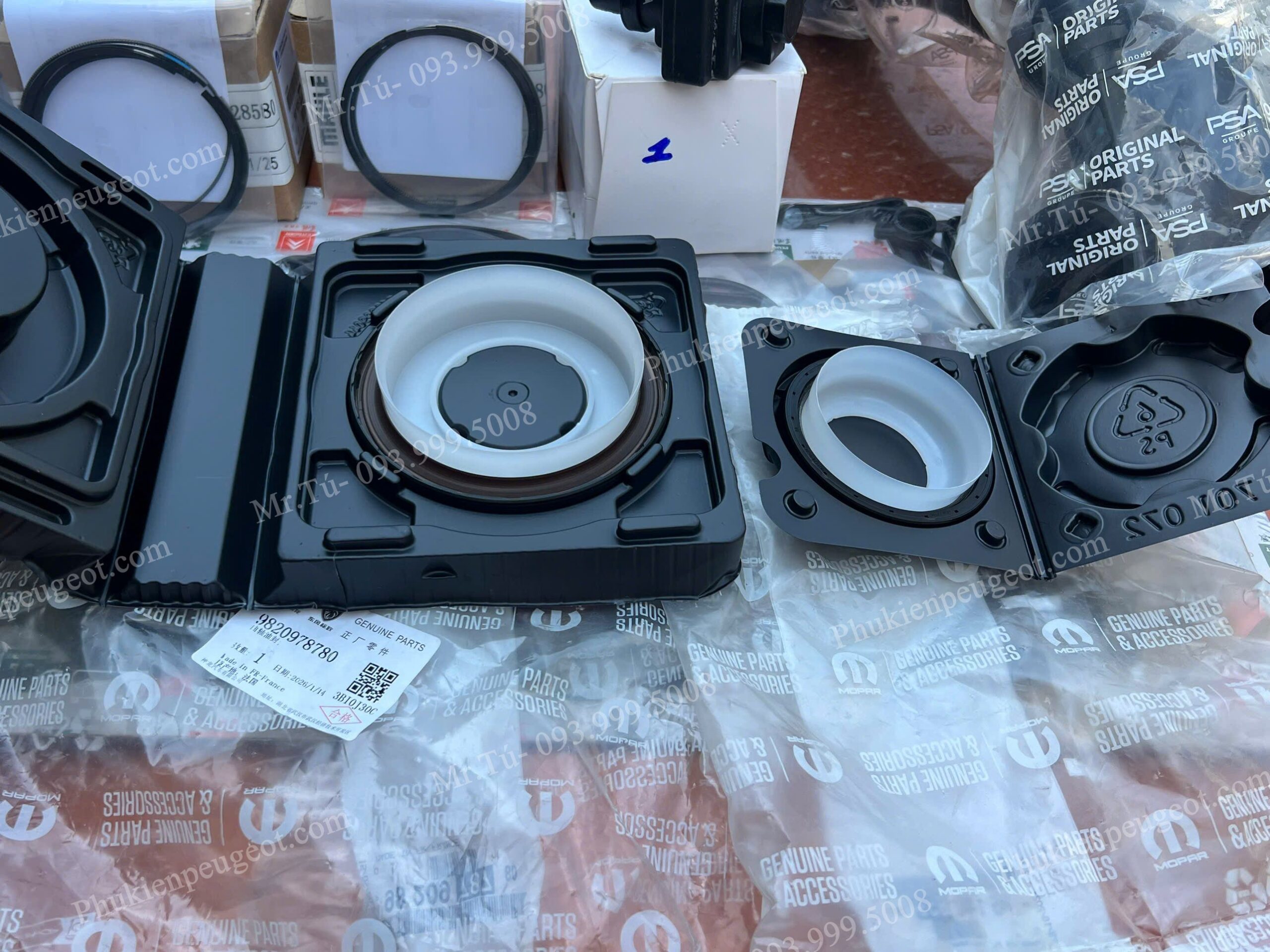 PHOT-DAU-DONG-CO-PEUGEOT (2)