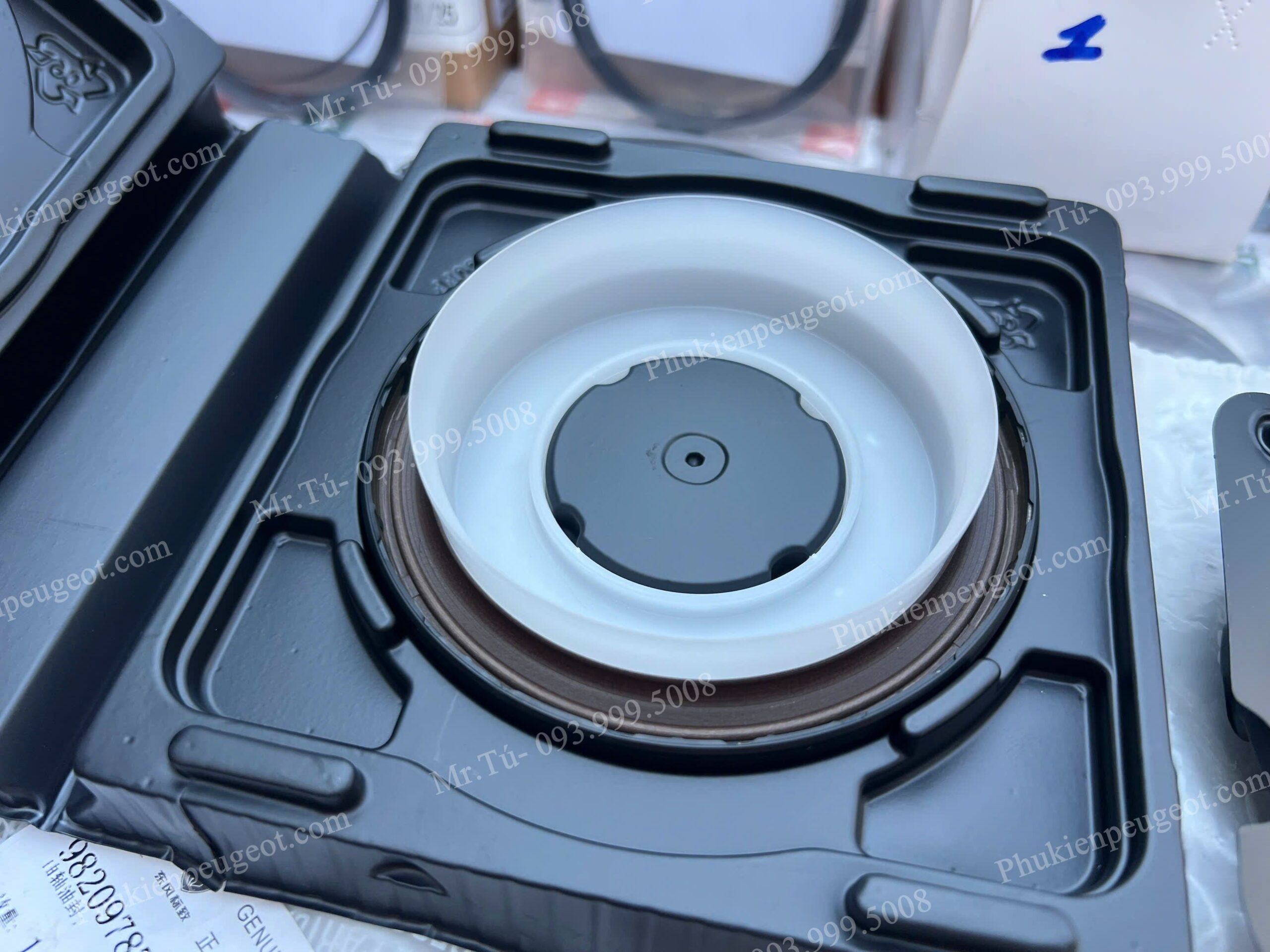 PHOT-DAU-DONG-CO-PEUGEOT (4)