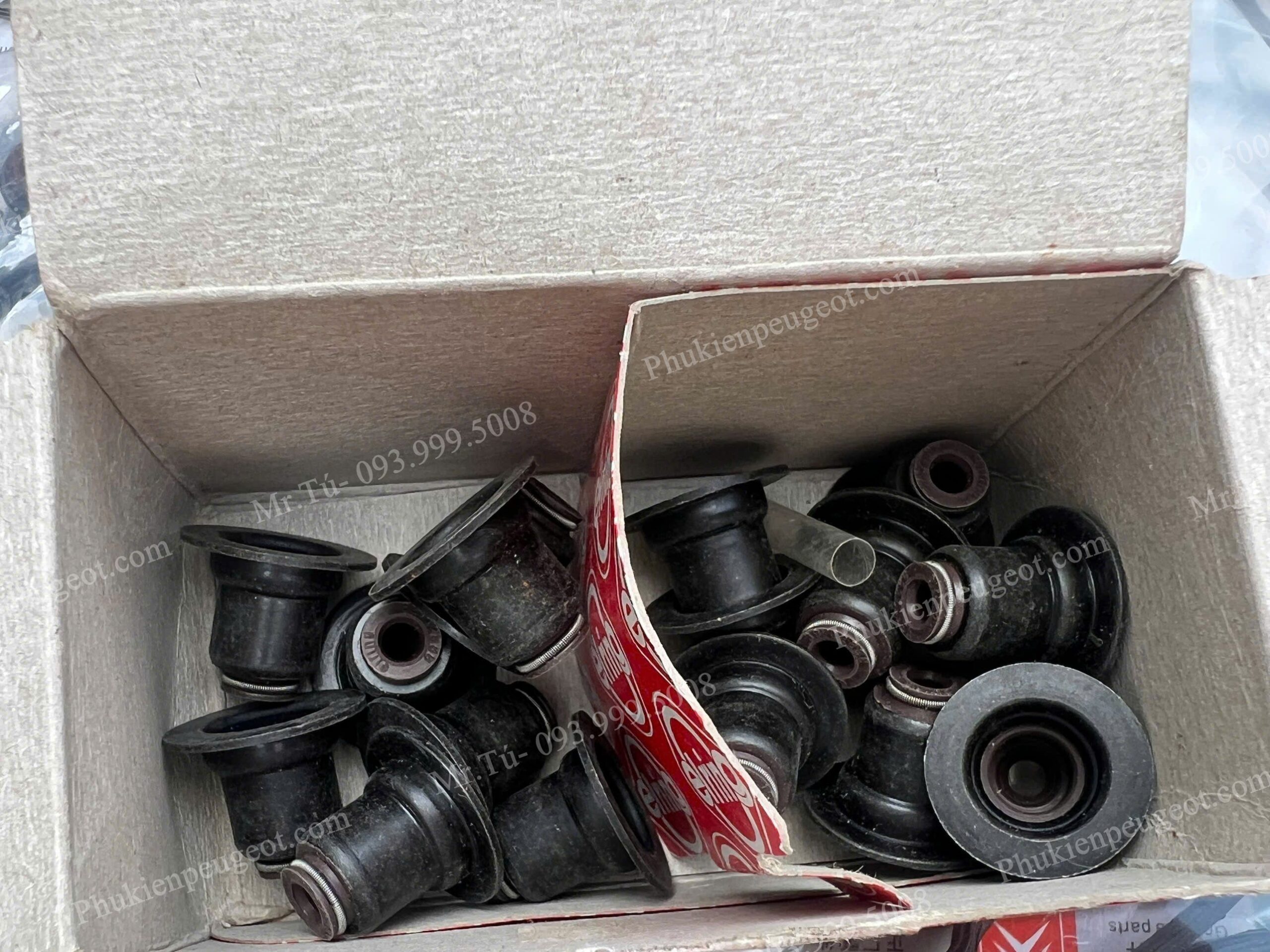 PHOT-GIP-PEUGEOT (4)