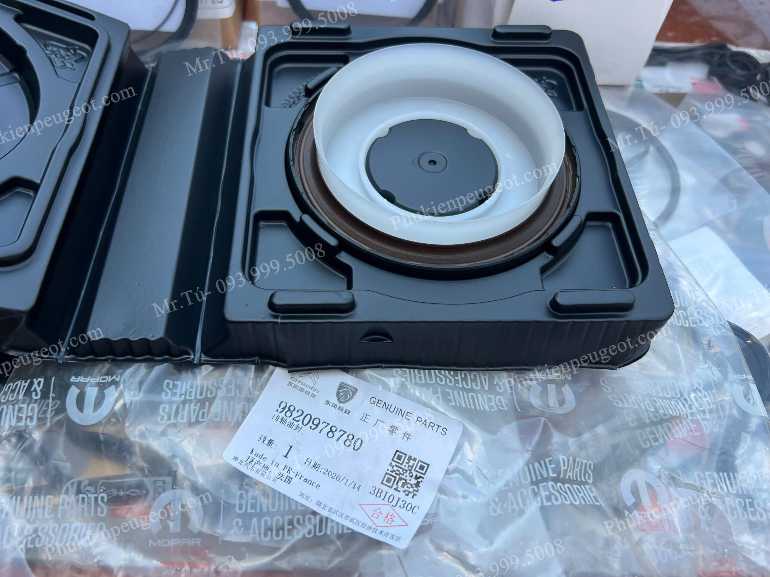 phot-duoi-dong-co-peugeot (1)