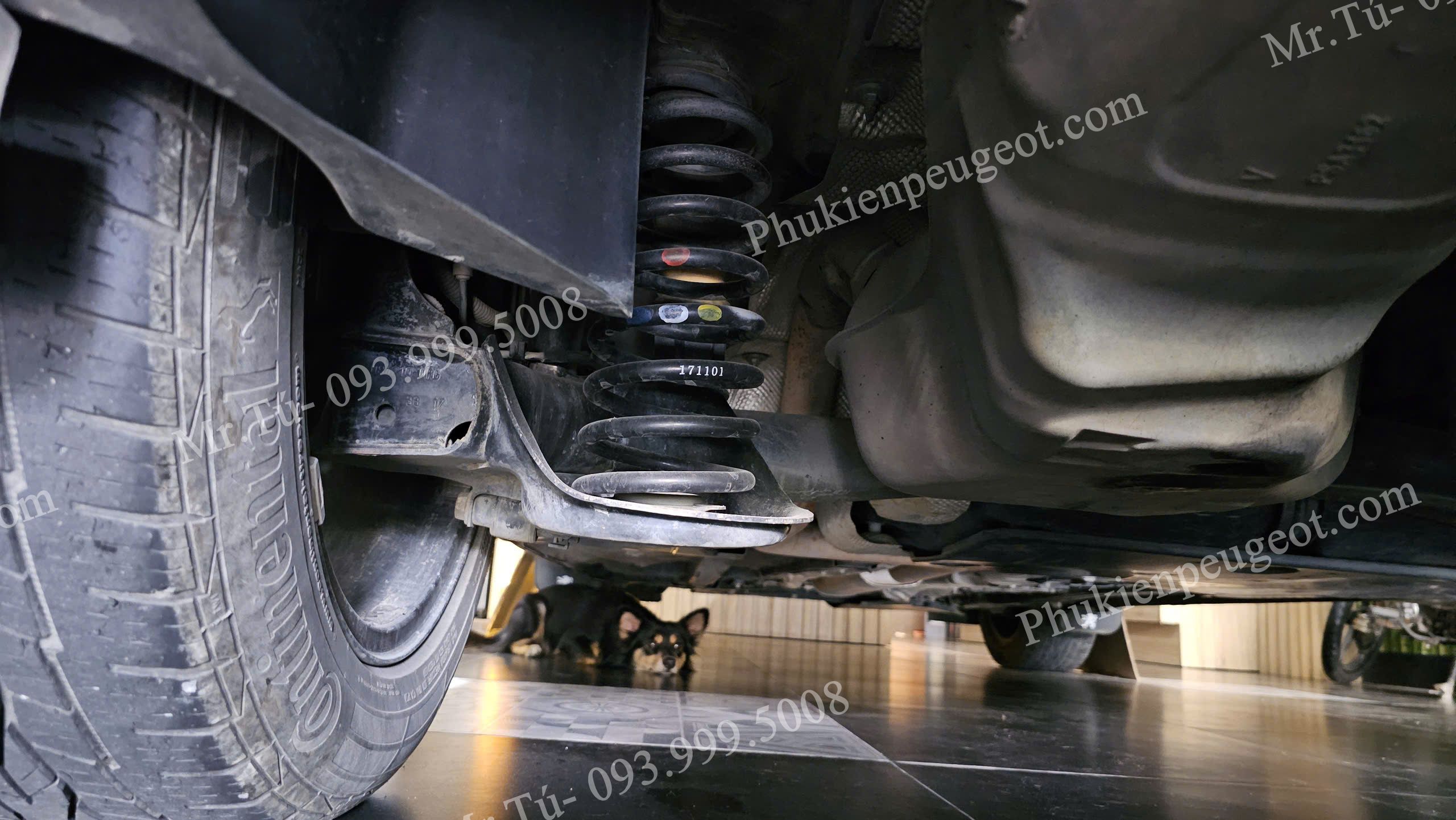 gia-do-lo-xo-giam-xoc-sau-peugeot (9)