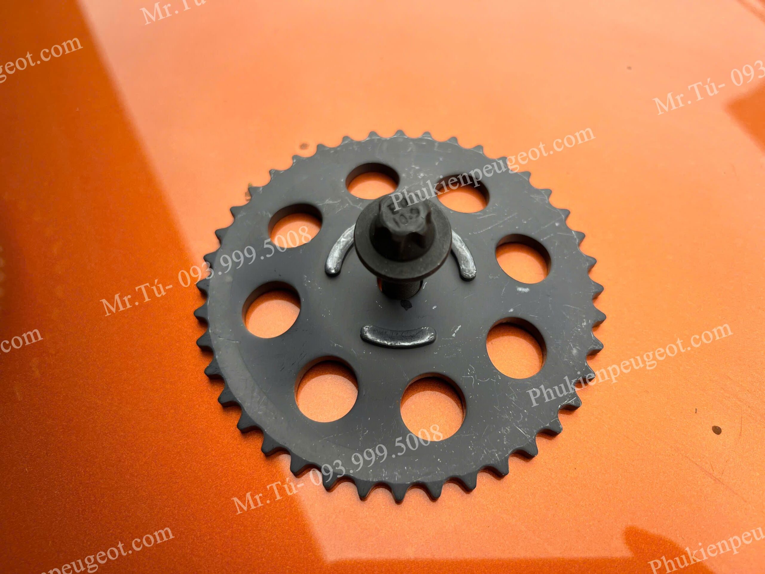 nhong-cam-xa-peugeot (2)