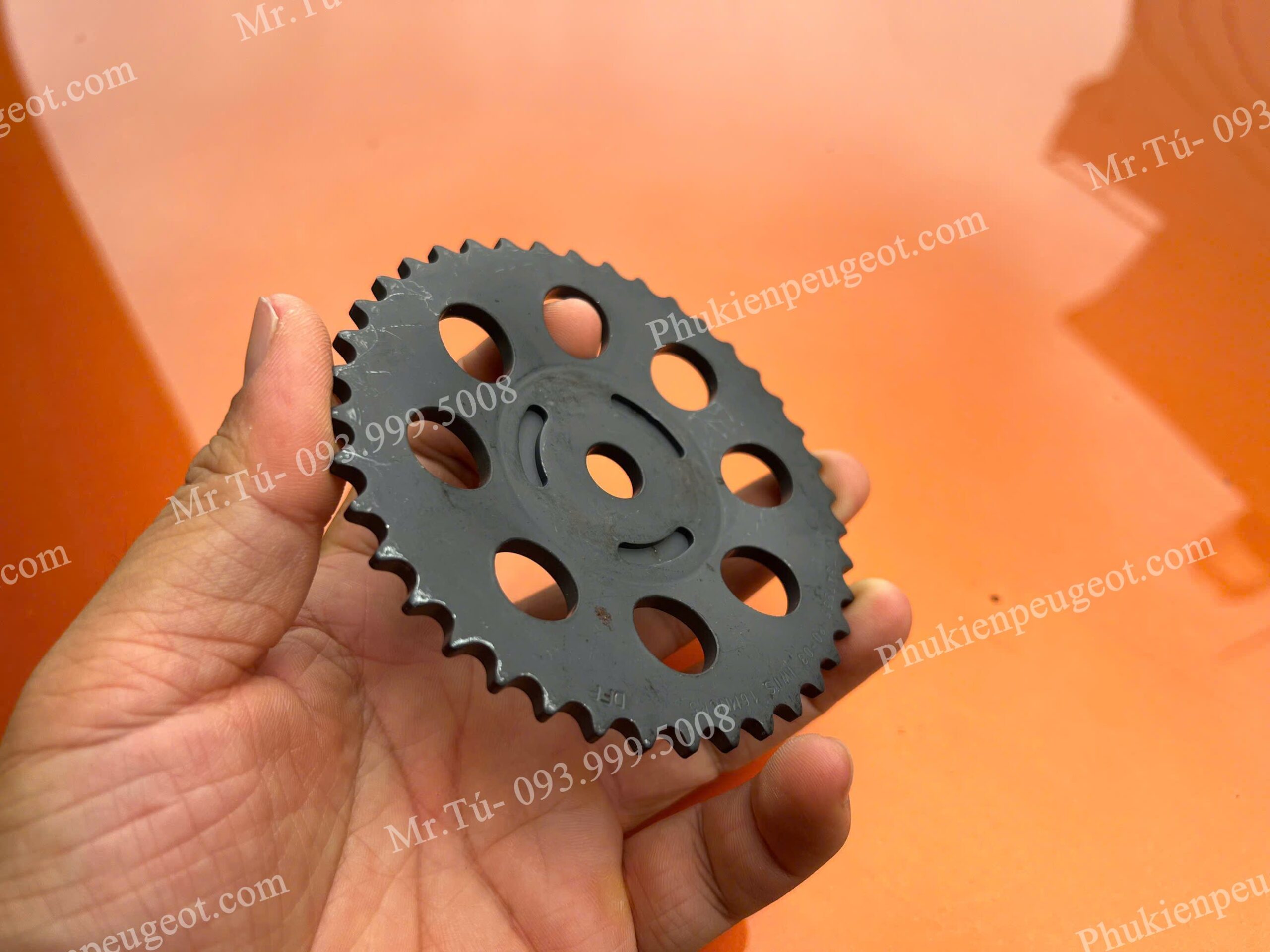 nhong-cam-xa-peugeot (3)