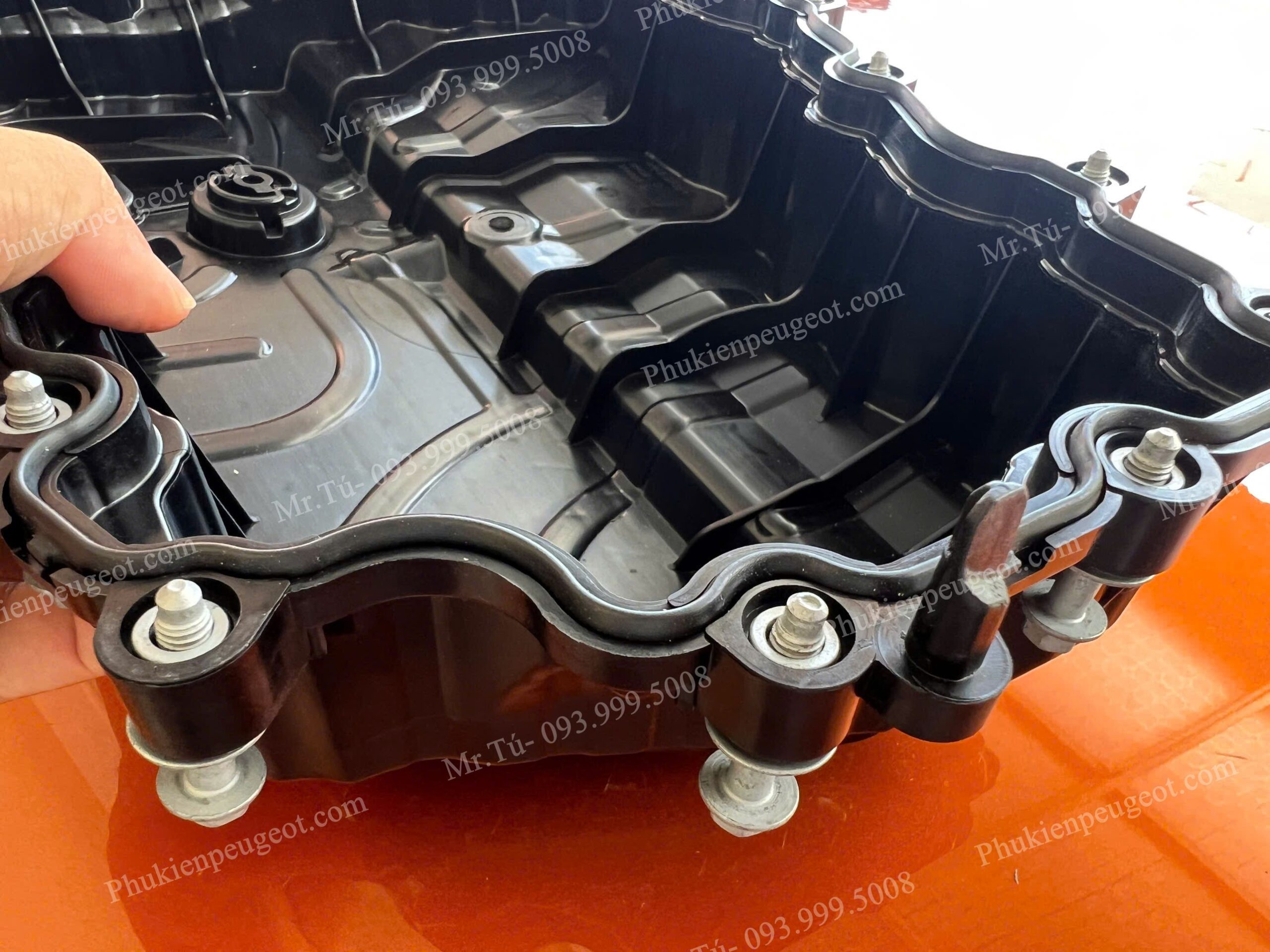 day-cacte-peugeot-traveller (1)