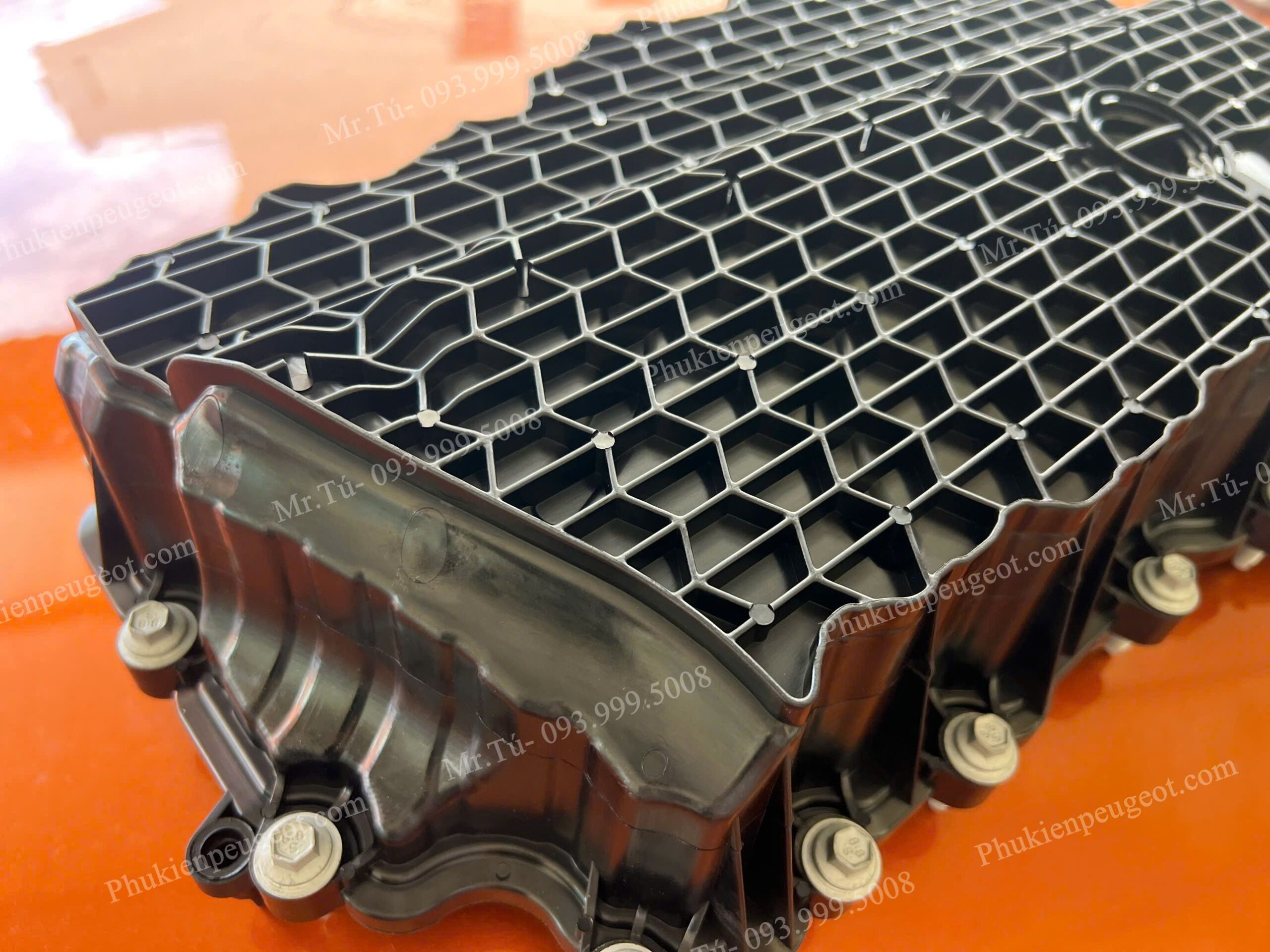 day-cacte-peugeot-traveller (5)