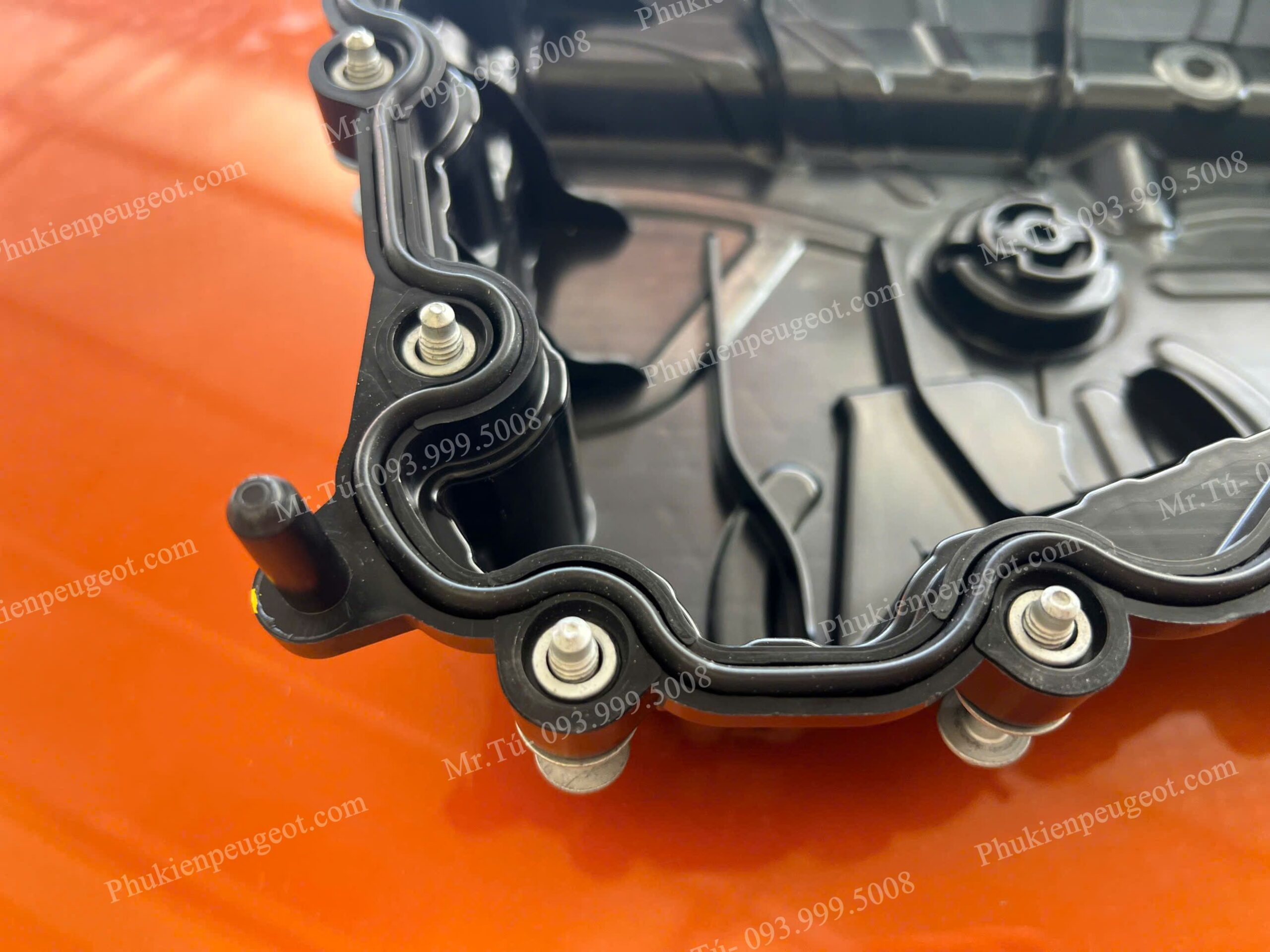 day-cacte-peugeot-traveller (9)