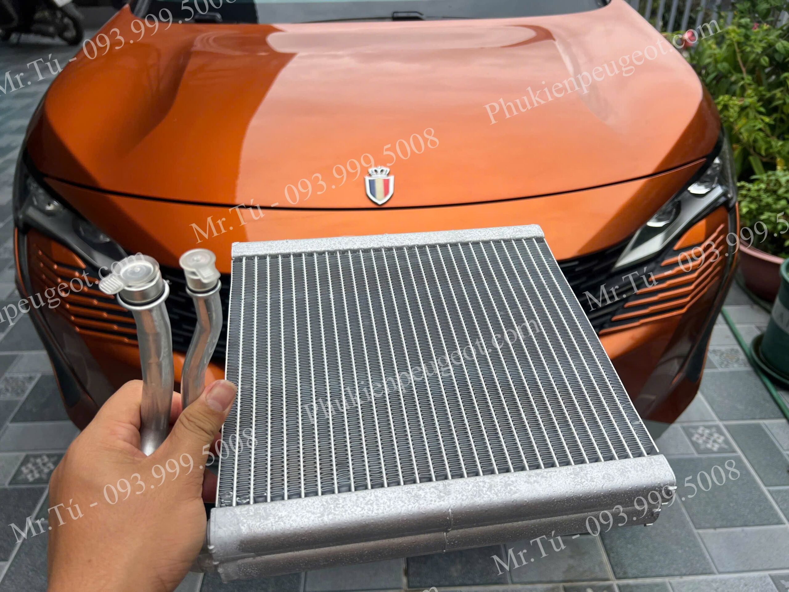 dan-lanh-thay-the-peugeot-3008 (4)