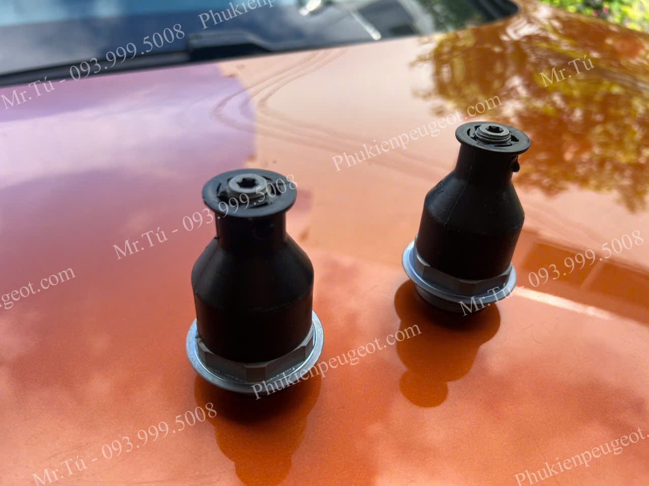 ROTUYN-TRU-CANG-A-PEUGEOT-3008 (6)