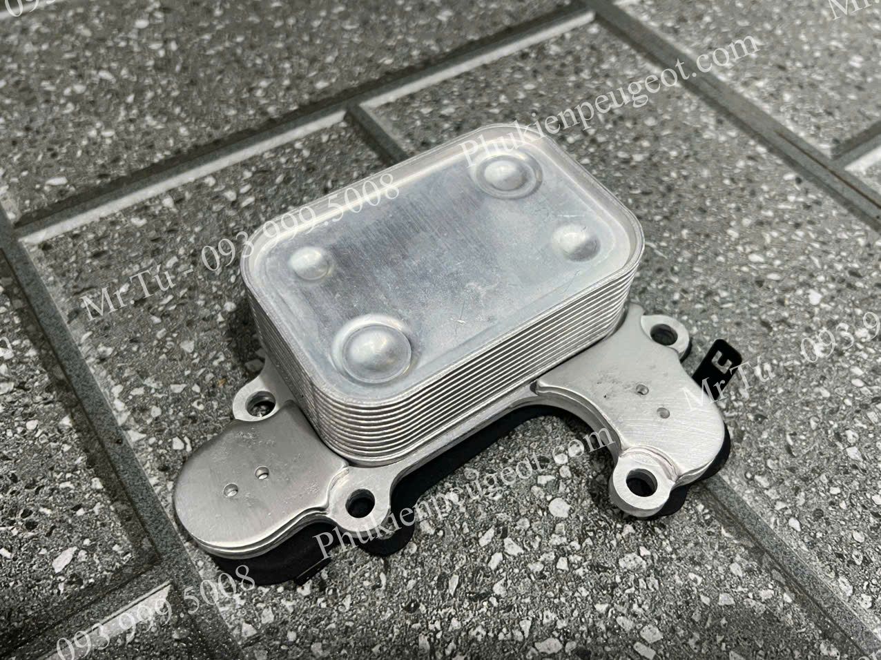 ket-sinh-han-dong-co-peugeot-2008 (3)